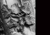 files/capitals/CHARTRES/thumbs/CHARTRES-31-080.jpg