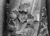 files/capitals/CHARTRES/thumbs/CHARTRES-31-081.jpg