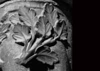 files/capitals/CHARTRES/thumbs/CHARTRES-31-083.jpg