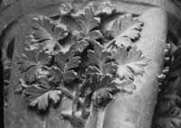 files/capitals/CHARTRES/thumbs/CHARTRES-31-089.jpg