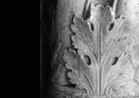 files/capitals/CHARTRES/thumbs/CHARTRES-31-093.jpg