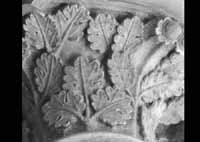 files/capitals/CHARTRES/thumbs/CHARTRES-33-130.jpg