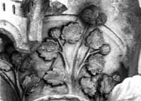 files/capitals/CHARTRES/thumbs/CHARTRES-33-143.jpg