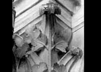 files/capitals/CHARTRES/thumbs/CHARTRES-33-146.jpg