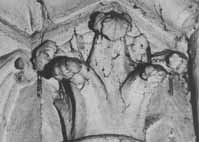 files/capitals/CHARTRES/thumbs/CHARTRES-36-214.jpg