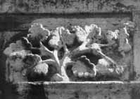 files/capitals/CHARTRES/thumbs/CHARTRES-39-271.jpg