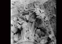 files/capitals/CHARTRES/thumbs/CHARTRES-43-351.jpg