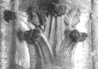 files/capitals/CHARTRES/thumbs/CHARTRES-43-353.jpg