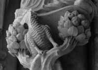 files/capitals/CHARTRES/thumbs/CHARTRES-43-354.jpg