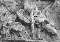 files/capitals/CHARTRES/thumbs/CHARTRES-43-358.jpg