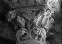 files/capitals/CHARTRES/thumbs/CHARTRES-43-365.jpg