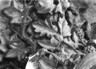 files/capitals/CHARTRES/thumbs/CHARTRES-43-369.jpg