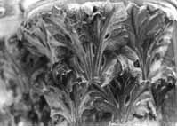 files/capitals/CHARTRES/thumbs/CHARTRES-43-372.jpg