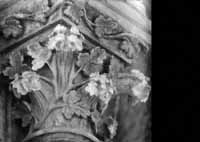 files/capitals/CHARTRES/thumbs/CHARTRES-43-381.jpg