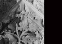 files/capitals/CHARTRES/thumbs/CHARTRES-43-383.jpg