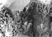files/capitals/CHARTRES/thumbs/CHARTRES-43-384.jpg
