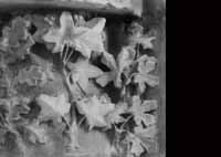 files/capitals/CHARTRES/thumbs/CHARTRES-43-385.jpg