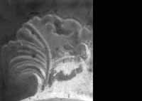files/capitals/CHARTRES/thumbs/CHARTRES-47-443.jpg