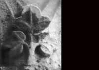 files/capitals/CHARTRES/thumbs/CHARTRES-47-447.jpg
