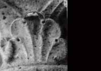 files/capitals/CHARTRES/thumbs/CHARTRES-47-448.jpg
