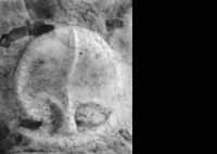 files/capitals/CHARTRES/thumbs/CHARTRES-47-449.jpg