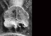 files/capitals/CHARTRES/thumbs/CHARTRES-47-450.jpg