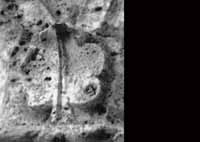 files/capitals/CHARTRES/thumbs/CHARTRES-47-451.jpg