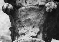 files/capitals/CHARTRES/thumbs/CHARTRES-47-455.jpg