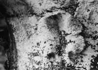 files/capitals/CHARTRES/thumbs/CHARTRES-47-457.jpg