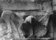 files/capitals/CHARTRES/thumbs/CHARTRES-50-504.jpg