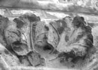 files/capitals/CHARTRES/thumbs/CHARTRES-50-512.jpg
