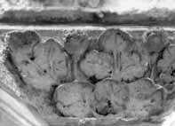 files/capitals/CHARTRES/thumbs/CHARTRES-50-515.jpg