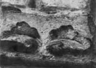 files/capitals/CHARTRES/thumbs/CHARTRES-51-543.jpg