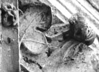 files/capitals/CHARTRES/thumbs/CHARTRES-51-545.jpg
