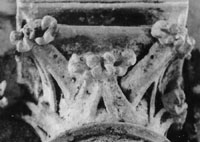 files/capitals/MOGNEVIL/thumbs/MOGNEVIL-17-051.jpg