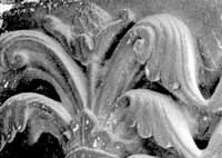 files/capitals/S-DEN-FR/thumbs/S-DEN-FR-5-c-009.jpg