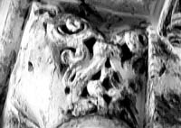 files/capitals/S-GERMER/thumbs/S-GERMER-16-178.jpg