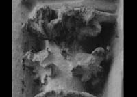 files/capitals/S-GERMER/thumbs/S-GERMER-22-238.jpg