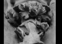 files/capitals/S-GERMER/thumbs/S-GERMER-22-239.jpg