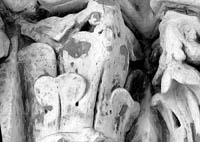 files/capitals/S-GERMER/thumbs/S-GERMER-4-033.jpg