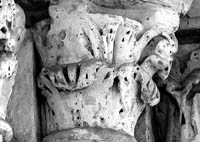 files/capitals/S-GERMER/thumbs/S-GERMER-5-045.jpg