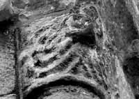 files/carvers/thumbs/Clasper-2.jpg