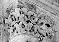 files/carvers/thumbs/Complexitus-1.jpg