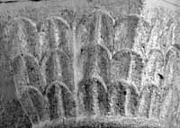 files/carvers/thumbs/Coverall-2.jpg