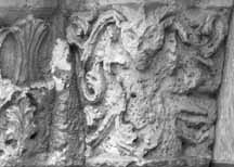 files/carvers/thumbs/Earwig-1.jpg