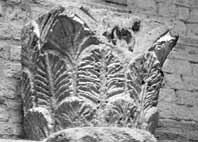 files/carvers/thumbs/Fanny-1.jpg