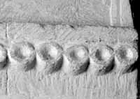 files/carvers/thumbs/ImpostO-1.jpg