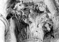 files/carvers/thumbs/Lobelia-1.jpg