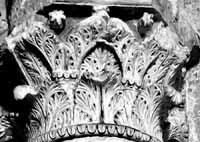 files/carvers/thumbs/Palmier-1.jpg