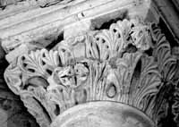 files/carvers/thumbs/Palmier-2.jpg